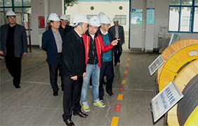 2015年11月22日，郎溪縣黨政代表團一行來上上電纜參觀考察