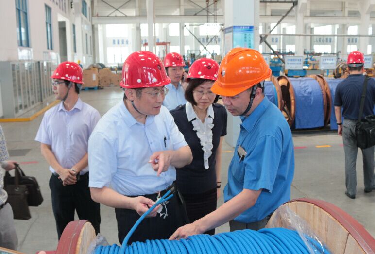 2016年7月22日，瀘州市委常委、副市長王建翔一行來上上電纜參觀考察