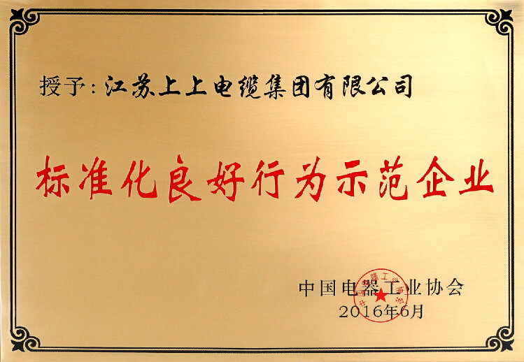 標(biāo)準(zhǔn)先行促發(fā)展，上上電纜再獲殊榮