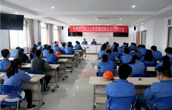 2016年4月20日，共青團江蘇上上電纜集團第五次代表大會召開