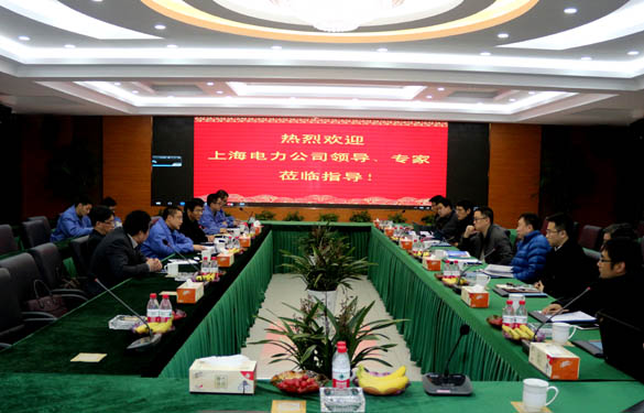 上海電力公司、上纜所領(lǐng)導(dǎo)、專家一行來上上電纜交流考察