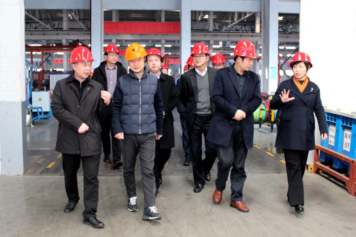 2019年3月7日，廣安市岳池縣考察團(tuán)來上上電纜參觀考察
