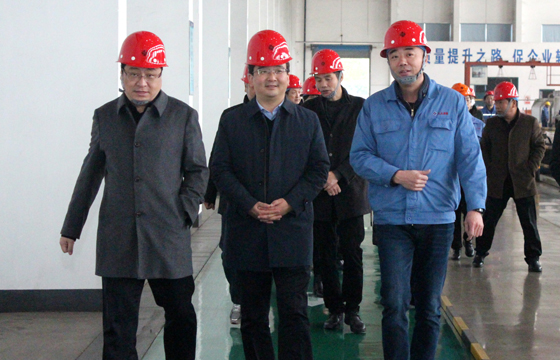 2020年12月8日，廣德市市委常委、常務(wù)副市長邱鐵軍一行來上上電纜考察