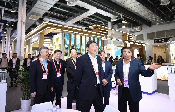 江蘇省委常委、常務副省長馬欣蒞臨上上展位-1.jpg